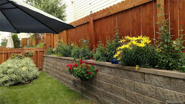 19447 E Bellisario Creek Dr, Parker, CO 80134 - view of yard