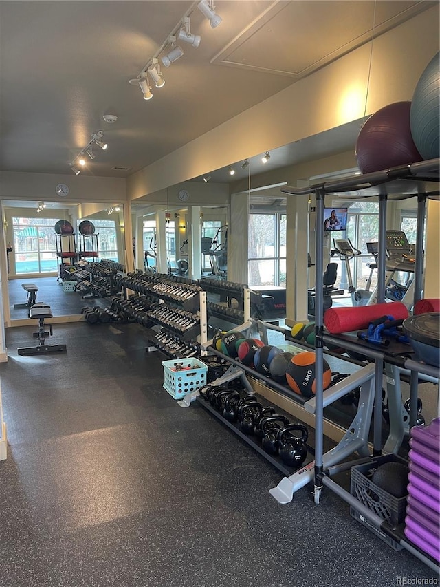 19447 E Bellisario Creek Dr, Parker, CO 80134 - workout area with track lighting and attic access