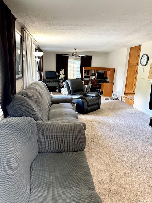 6616 S Lincoln St, Centennial, CO 80121 - living room featuring a textured ceiling and carpet