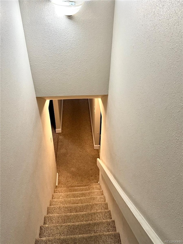 6616 S Lincoln St, Centennial, CO 80121 - stairway with a textured wall and carpet floors
