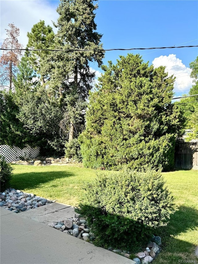 6616 S Lincoln St, Centennial, CO 80121 - view of yard