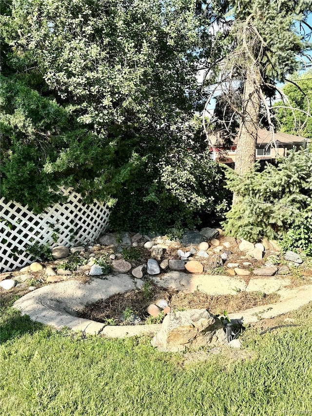 6616 S Lincoln St, Centennial, CO 80121 - view of yard