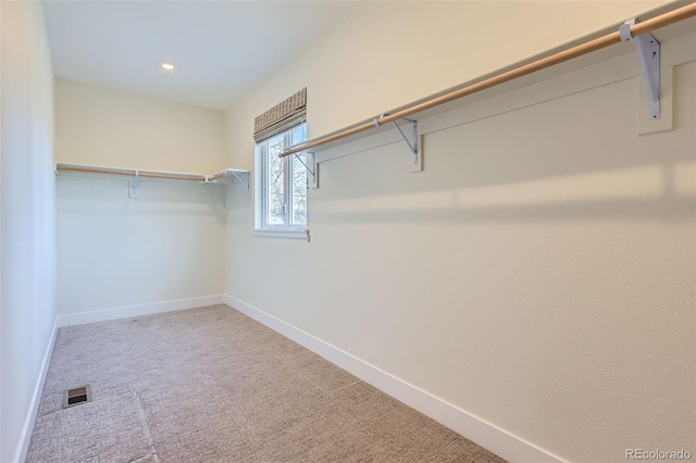 spacious closet with carpet