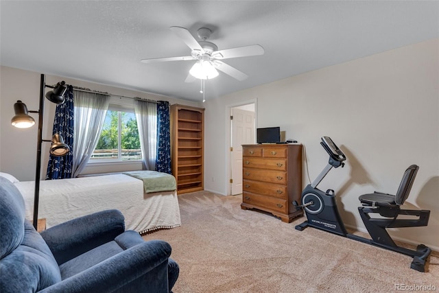 3563 Watada Dr, Brighton, CO 80601 - photo 19