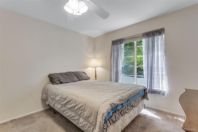 3563 Watada Dr, Brighton, CO 80601 - photo 25