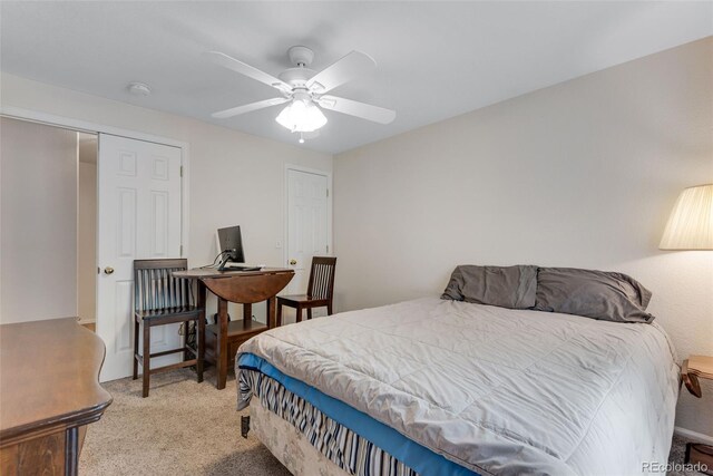 3563 Watada Dr, Brighton, CO 80601 - photo 26