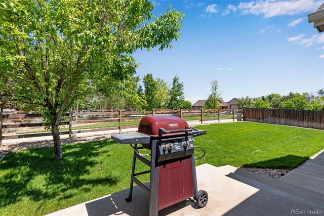 3563 Watada Dr, Brighton, CO 80601 - photo 39