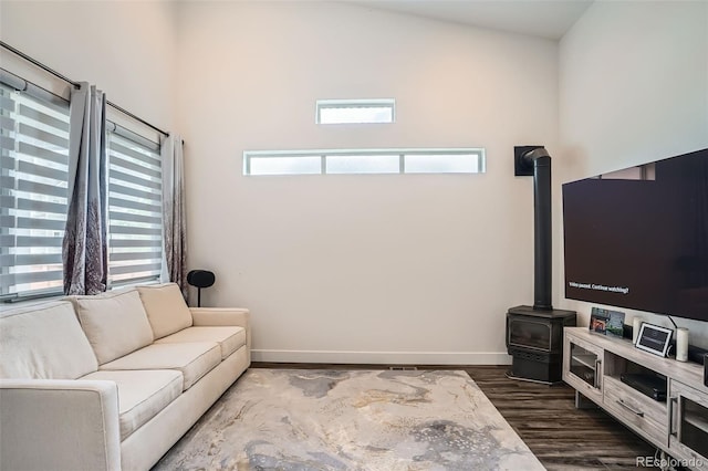 10095 E 59th Ave, Denver, CO 80238 - living room with a wood stove and dark wood-style floors