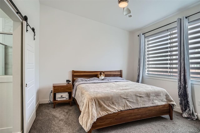 10095 E 59th Ave, Denver, CO 80238 - bedroom with carpet flooring and a barn door