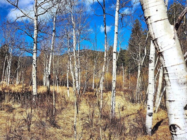 144 Gray St, Bailey, CO 80421