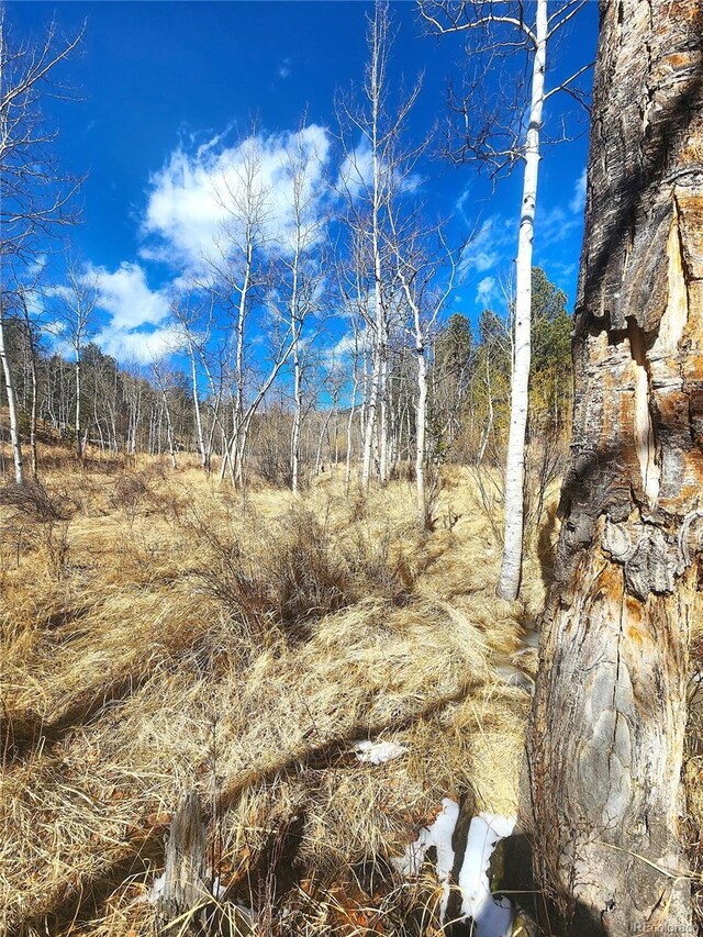 144 Gray St, Bailey, CO 80421