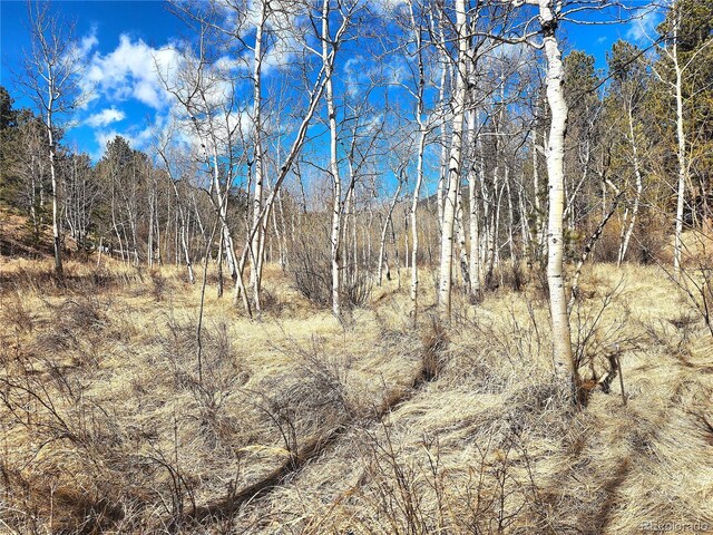 144 Gray St, Bailey, CO 80421