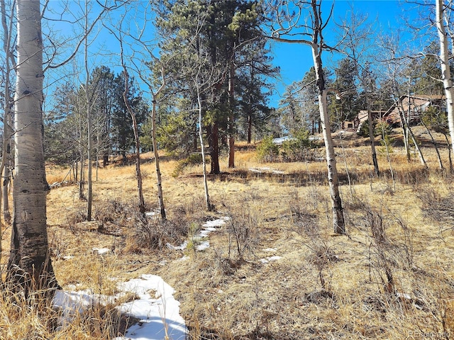 144 Gray St, Bailey, CO 80421