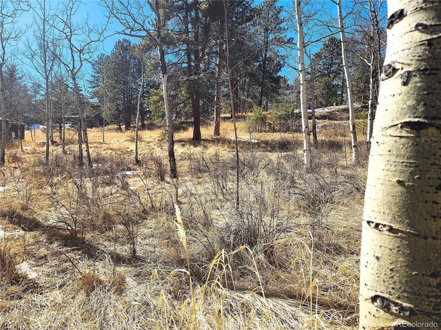 144 Gray St, Bailey, CO 80421