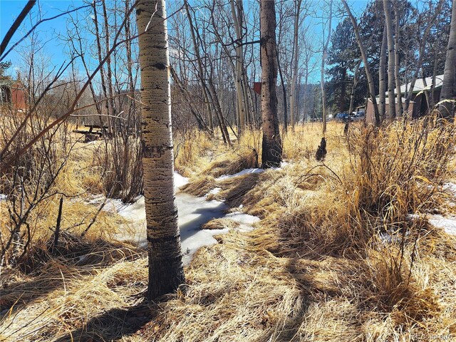 144 Gray St, Bailey, CO 80421
