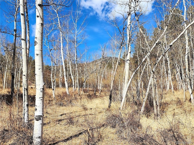 144 Gray St, Bailey, CO 80421
