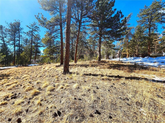 144 Gray St, Bailey, CO 80421