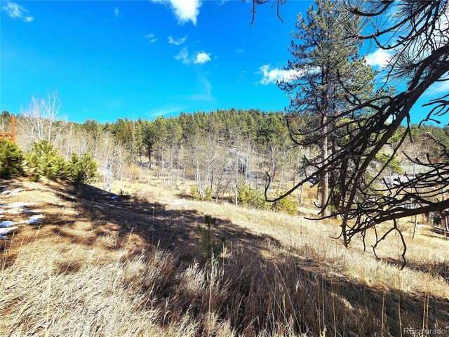 144 Gray St, Bailey, CO 80421
