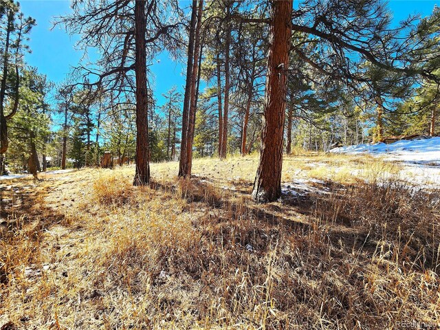 144 Gray St, Bailey, CO 80421