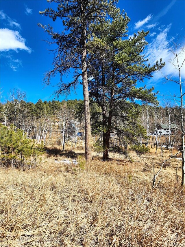144 Gray St, Bailey, CO 80421