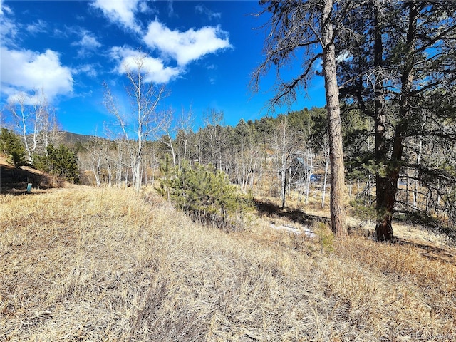 144 Gray St, Bailey, CO 80421