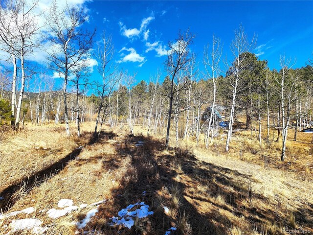 144 Gray St, Bailey, CO 80421