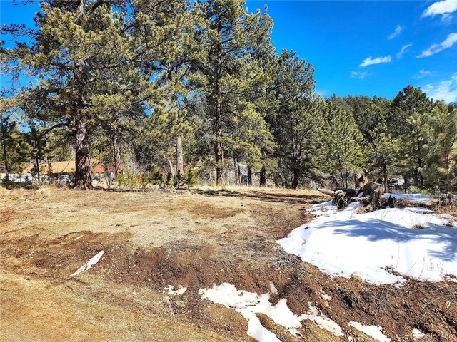 144 Gray St, Bailey, CO 80421