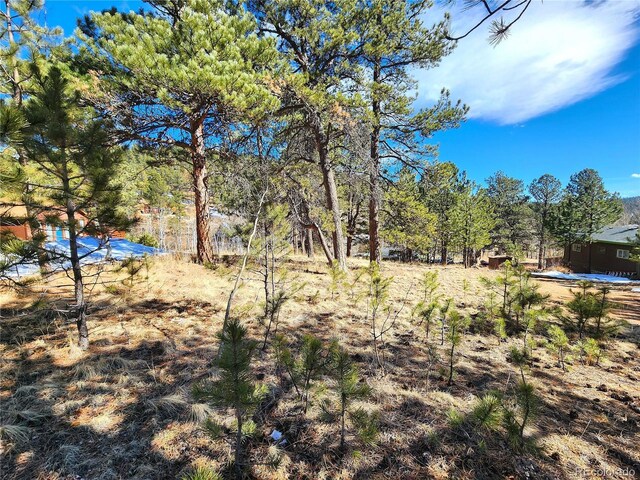 144 Gray St, Bailey, CO 80421