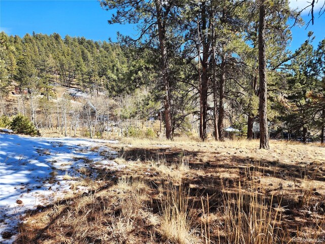 144 Gray St, Bailey, CO 80421
