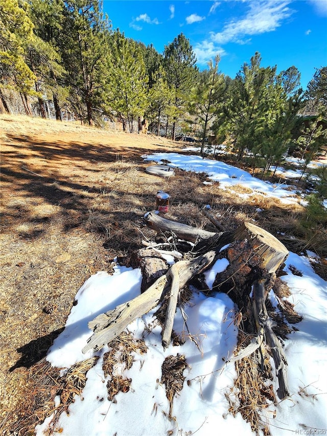 144 Gray St, Bailey, CO 80421