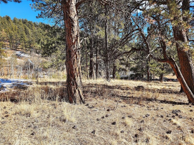 144 Gray St, Bailey, CO 80421