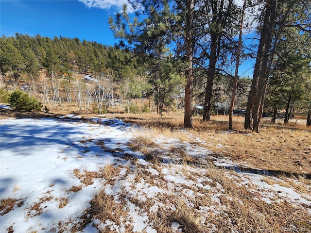144 Gray St, Bailey, CO 80421