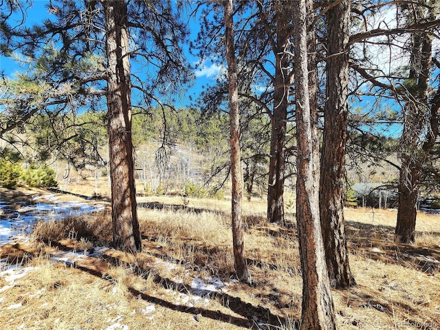 144 Gray St, Bailey, CO 80421