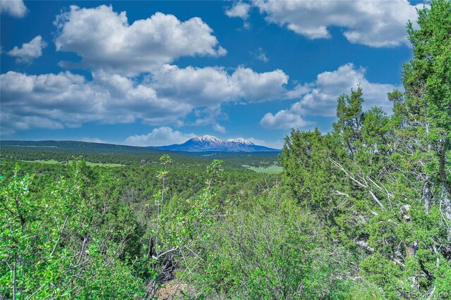 324 Chaps Ct, Walsenburg, CO 81089 - photo 31