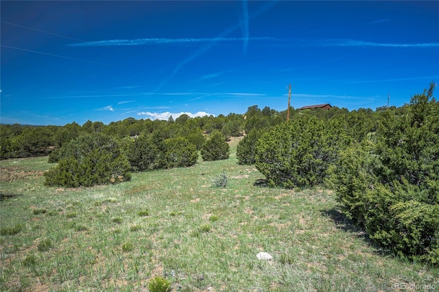 324 Chaps Ct, Walsenburg, CO 81089 - photo 32