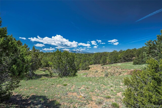 324 Chaps Ct, Walsenburg, CO 81089 - photo 33
