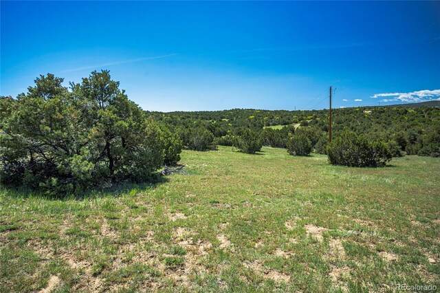 324 Chaps Ct, Walsenburg, CO 81089 - photo 34