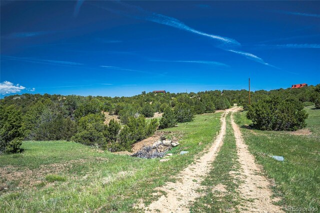 324 Chaps Ct, Walsenburg, CO 81089 - photo 35