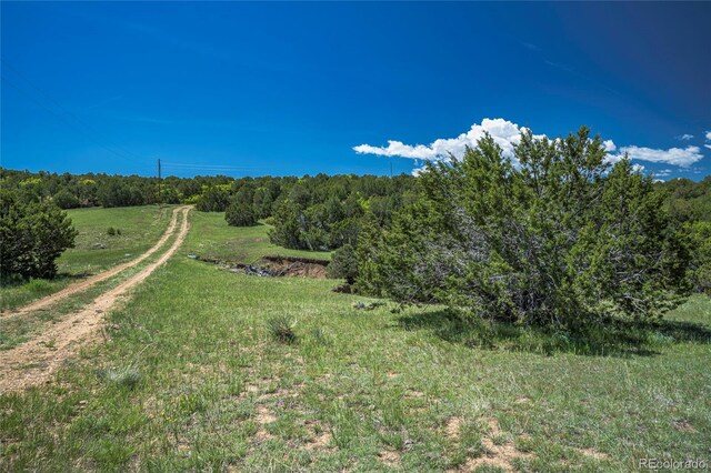 324 Chaps Ct, Walsenburg, CO 81089 - photo 36