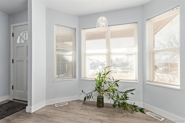 interior space featuring light wood-type flooring and a healthy amount of sunlight