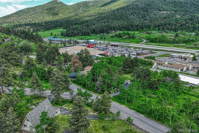 25694 Stansbery St, Conifer, CO 80433 - photo 40