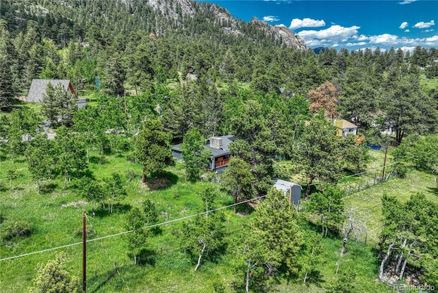 25694 Stansbery St, Conifer, CO 80433 - photo 38