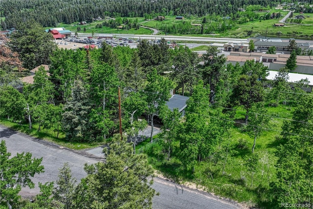 25694 Stansbery St, Conifer, CO 80433 - photo 39