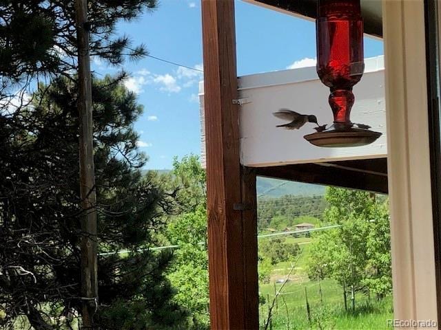 25694 Stansbery St, Conifer, CO 80433 - photo 7