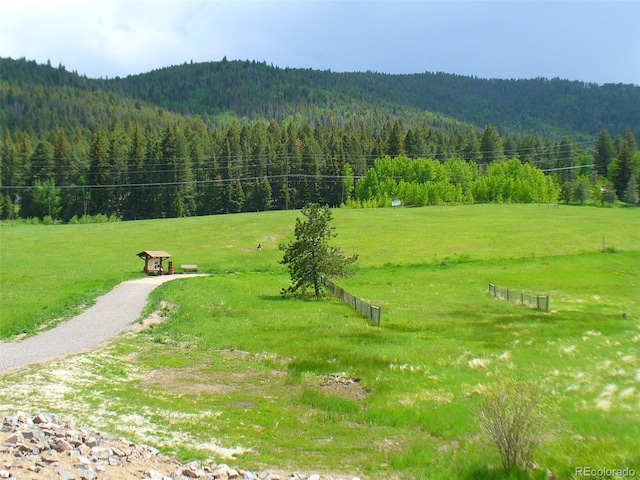 25694 Stansbery St, Conifer, CO 80433 - photo 44