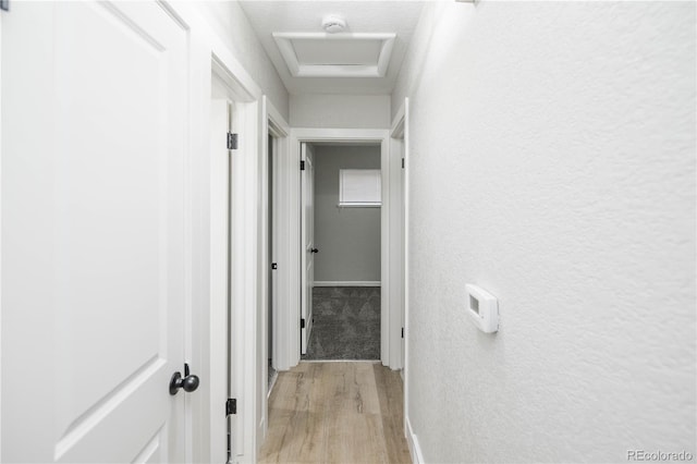 8511 Cherry Ln, Westminster, CO 80031 - photo 11