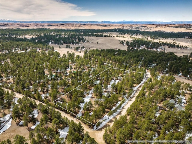 5030 Cedar Way, Elizabeth, CO 80107 - bird's eye view