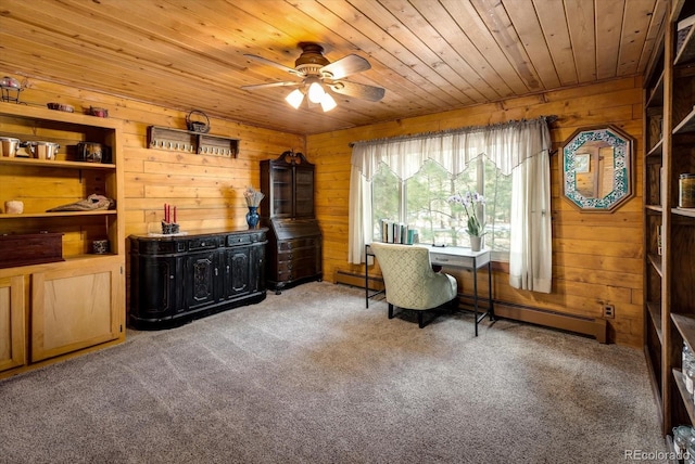 5030 Cedar Way, Elizabeth, CO 80107 - carpeted office space featuring wooden walls, wood ceiling, ceiling fan, and a baseboard radiator