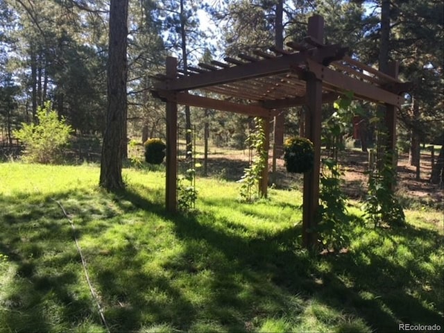5030 Cedar Way, Elizabeth, CO 80107 - view of green lawn with a pergola