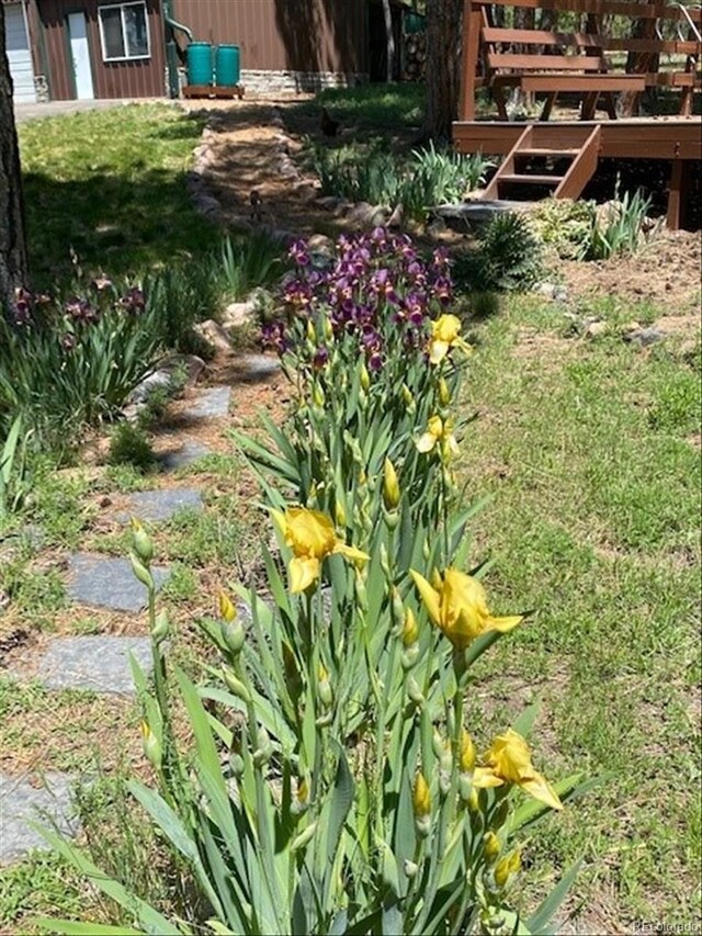 5030 Cedar Way, Elizabeth, CO 80107 - view of yard